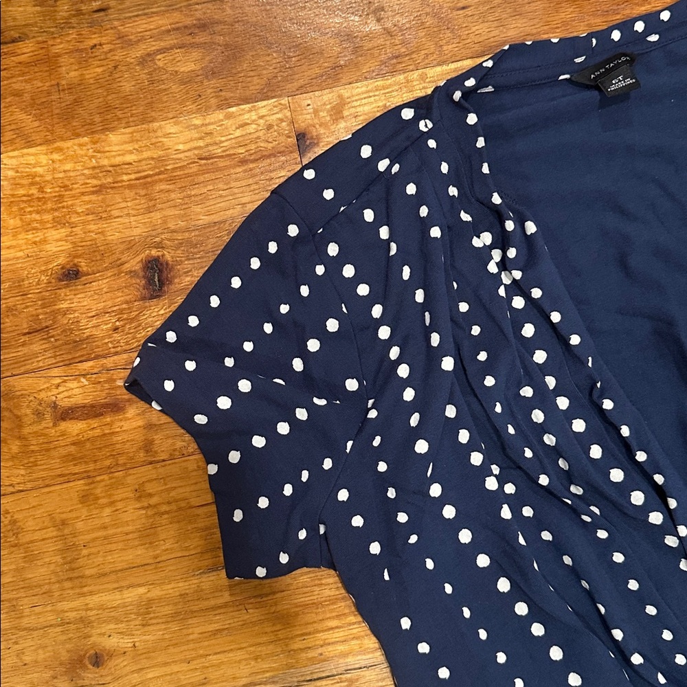 Ann Taylor Blue Polka Dot Wrap Dress - Picture 11 of 12